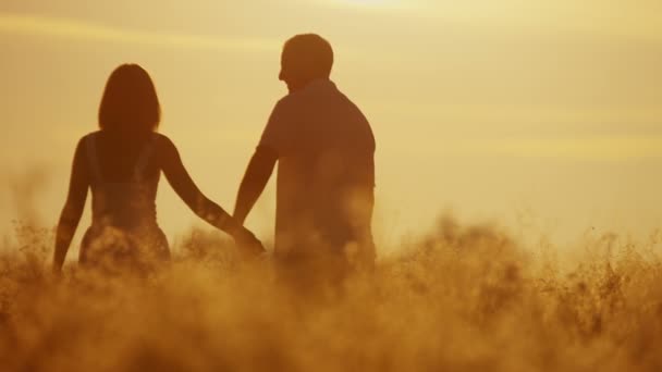 miłości para spaceru na łące na zachodzie słońca - Materiał filmowy, wideo