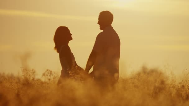 verliefde paar lopen op weide bij zonsondergang - Video