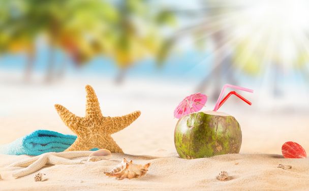 summer coconut drink on the beach. - 写真・画像