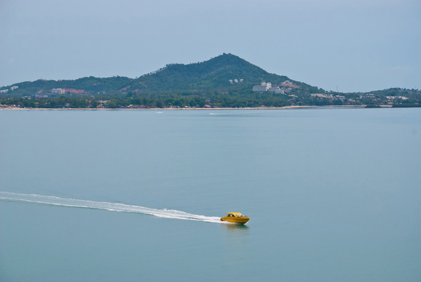 Speed boat in the sea - Photo, Image