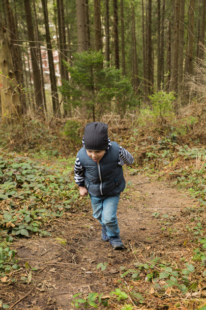 Little boy on a walk in the woods - Фото, изображение