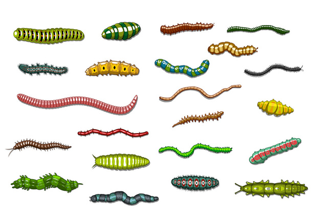 Crawling caterpillars and worms in cartoon style - Διάνυσμα, εικόνα