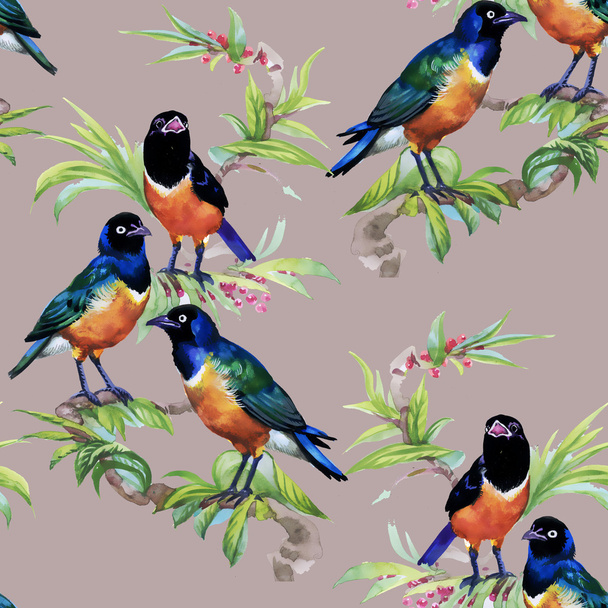 tropical floral seamless pattern - Photo, image
