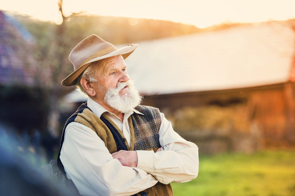 Senior farmer in summer - Фото, изображение