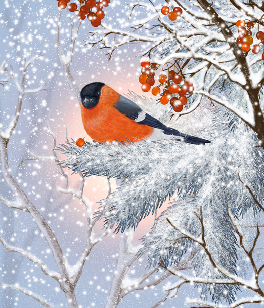 Bird.Winter forest. - Fotó, kép