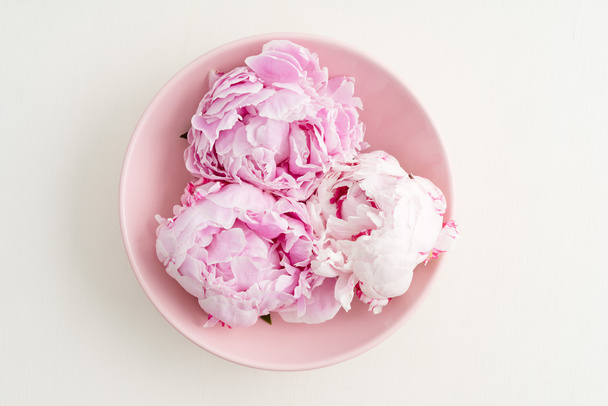 Freshly cut peony blossom on pink plate - Фото, зображення