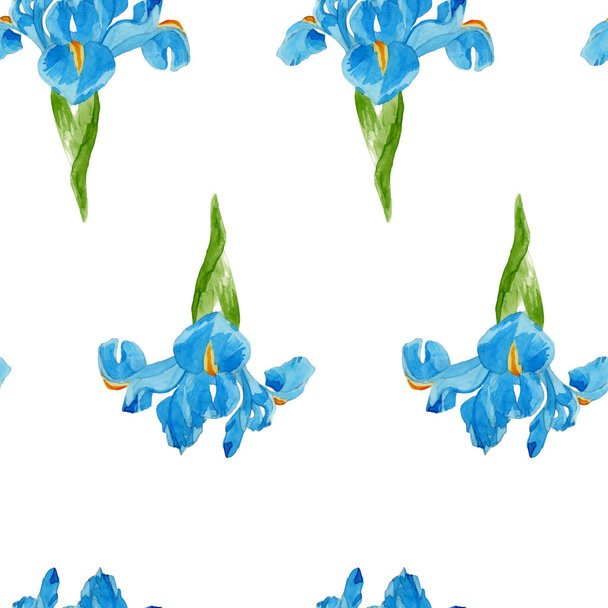 Patrón de iris acuarela
 - Vector, Imagen