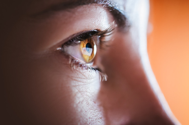 жінка коричневі очі
 - Фото, зображення