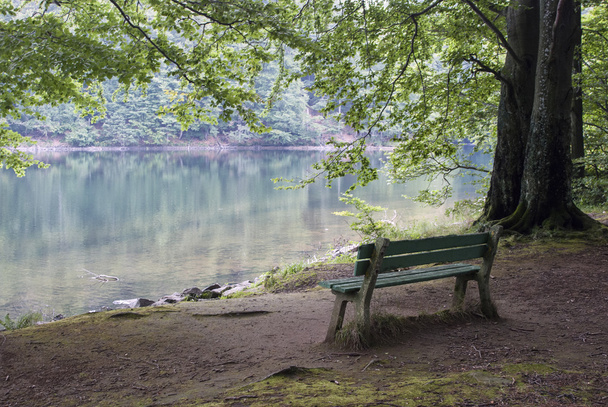 Bench on the lake - Photo, Image