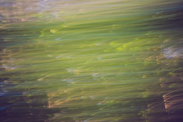 Ліси барвиста абстракція
 - Фото, зображення