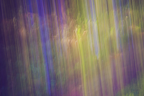 Abstracción colorida del bosque
 - Foto, imagen