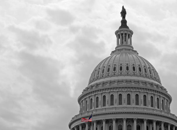 Yhdysvallat Capitol Building Washington DC in Black & White and Am
 - Valokuva, kuva