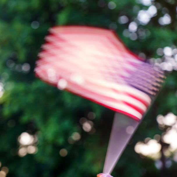 american flag in hand - Foto, imagen