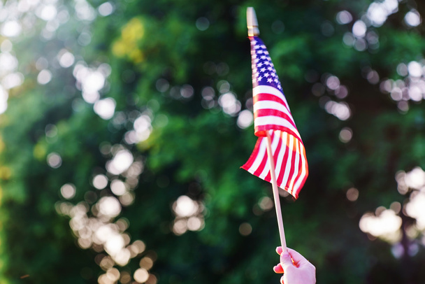 american flag in hand - Foto, Imagen