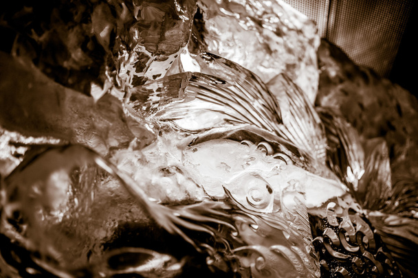 Sepia ice - Photo, Image