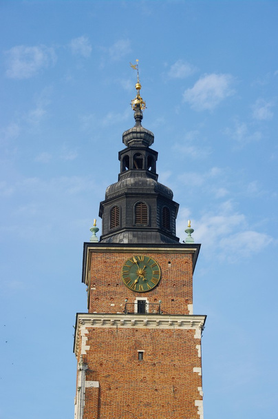 市庁舎塔 - 写真・画像