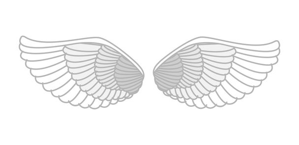 Vektor křídel - Vektor, obrázek