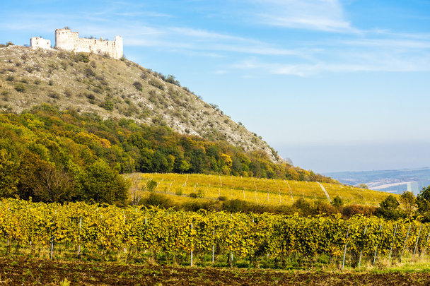 Ruínas do Castelo de Devicky com vinhas no outono
 - Foto, Imagem