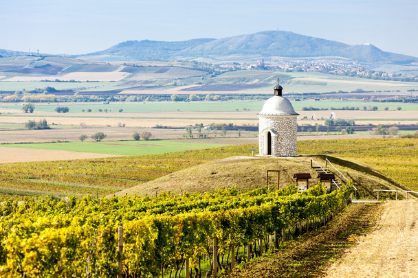 Каплиця з виноградник поблизу velke bilovice - Фото, зображення