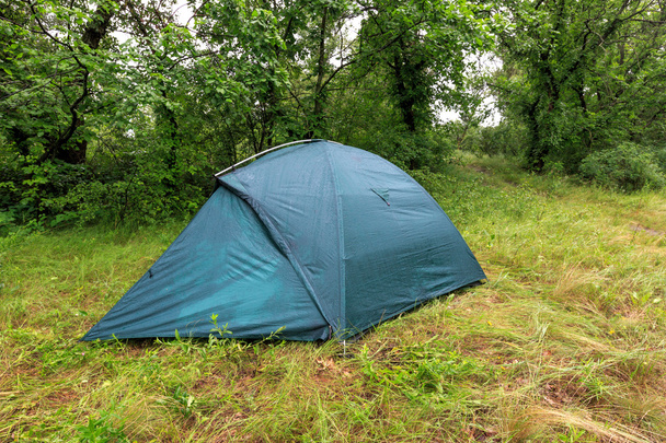 tourist tent in wet forest - Fotoğraf, Görsel