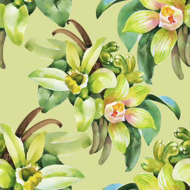 Floral background with orchid flowers - Photo, Image