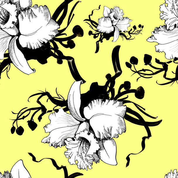 Floral background with orchid flowers - Zdjęcie, obraz