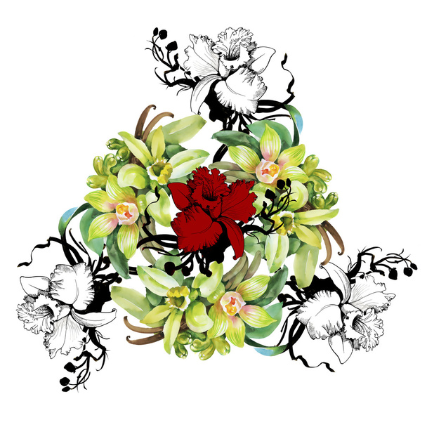 カラフルな蘭の花 - 写真・画像