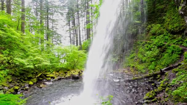 View Behind Horsetail Falls - Footage, Video