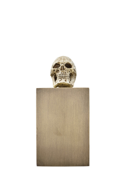Small skull on bronze stand - Foto, afbeelding