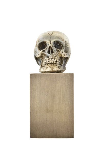 Маленький череп на бронзовой подставке
 - Фото, изображение