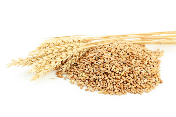 Ears of wheat and wheat grains isolated on white - Photo, image