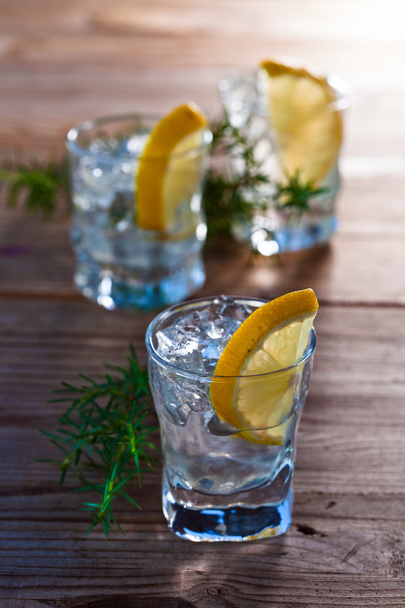 Gin avec branche de citron et genièvre
 - Photo, image