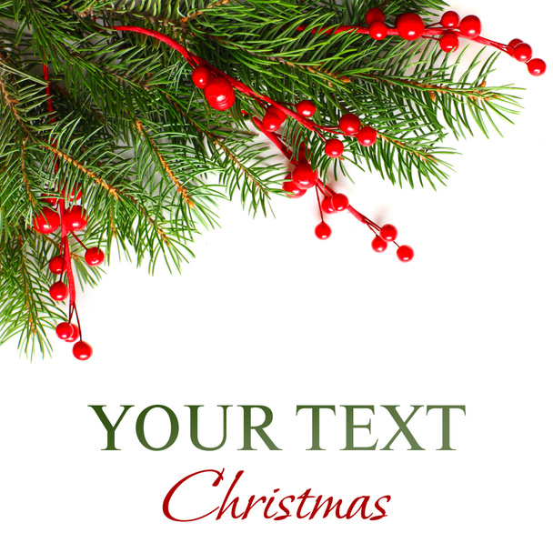 Christmas background with Xmas green fir tree - Photo, Image