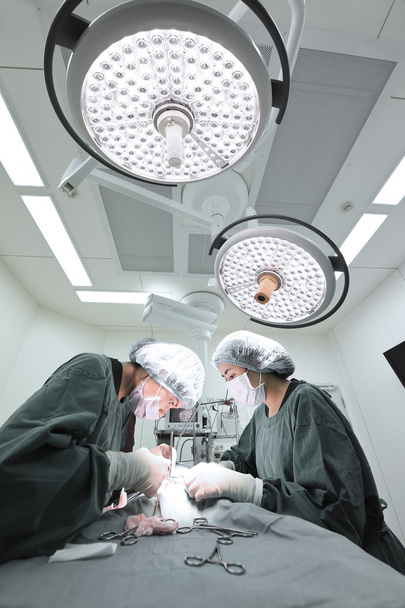 two veterinarian surgeons in operating room - Foto, afbeelding