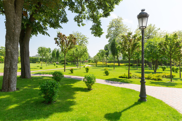 schöner frühlingshafter grüner Park - Foto, Bild