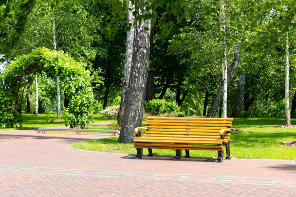 fa pad a parkban - Fotó, kép