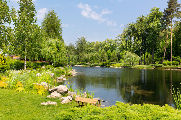 Beautiful lake in summer park - Photo, Image