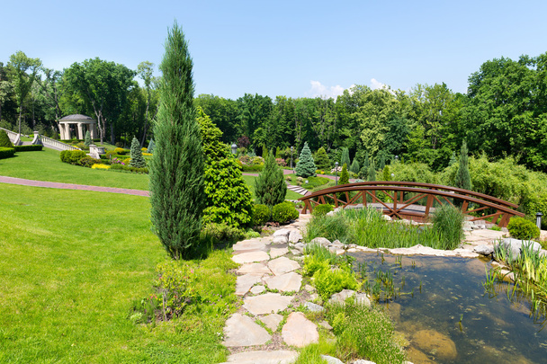 дерев'яний міст у парку весни зелений - Фото, зображення