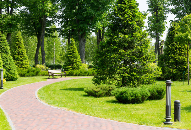 Curved alley in park - Foto, afbeelding