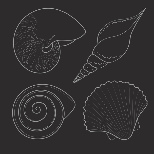 Set of black&white graphic sea shells. - Vector, Image