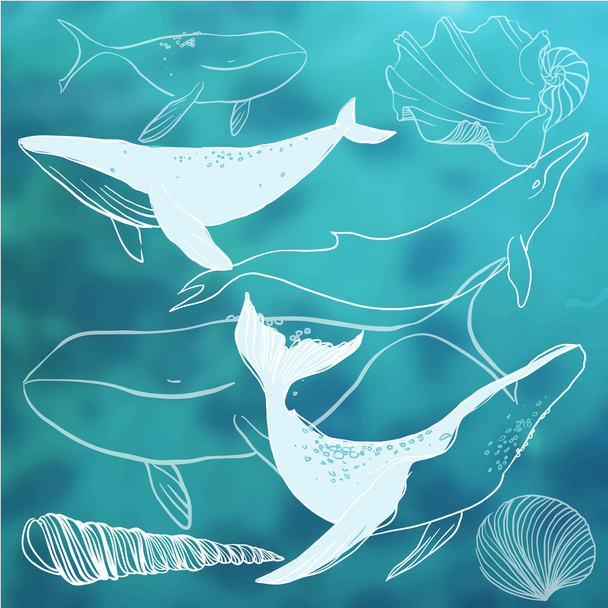 Set of whales and marine animals - Vektor, kép