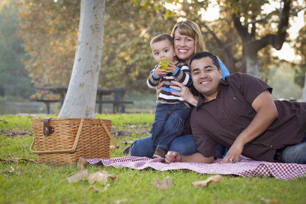 Happy Mixed Race Ethnic Family Having a Picnic In The Park - Photo, Image
