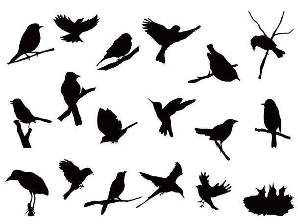 Bird silhouettes collection - Vektor, obrázek