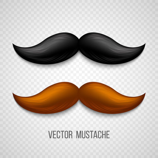 Brown, black  isolated mustaches set. Vector illustration - Wektor, obraz