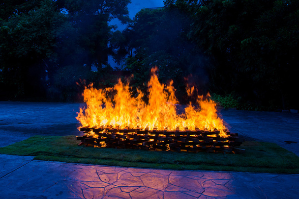 Camp fire burning wood - Photo, Image