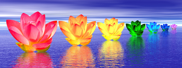 Lily flowers chakras by night - Photo, Image