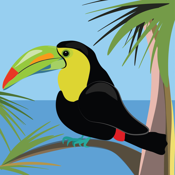 Beautiful toucan bird sitting on a palm tree - Wektor, obraz