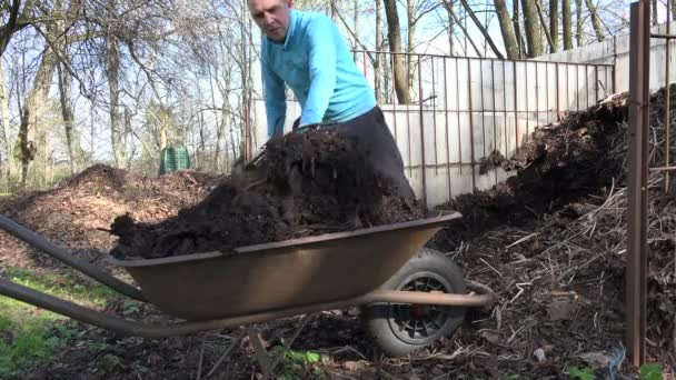 Landarbeiter mit Mistgabel graben Kompost aus und tragen volle Schubkarren. 4k - Filmmaterial, Video