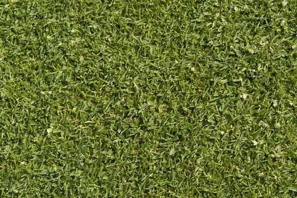 Абстрактний зелений фон для гольфу
 - Фото, зображення