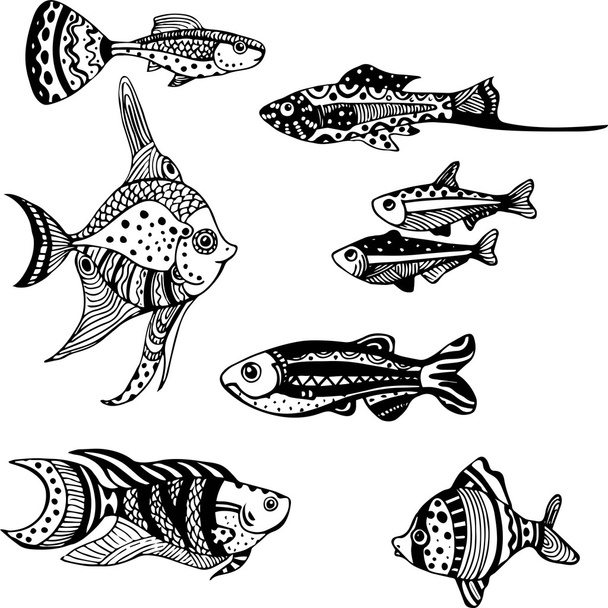 Akvarijní ryby - Vektor, obrázek